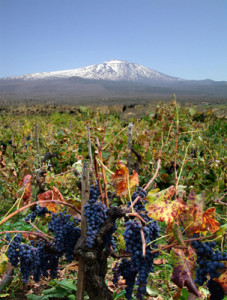 etna vigneto_sito